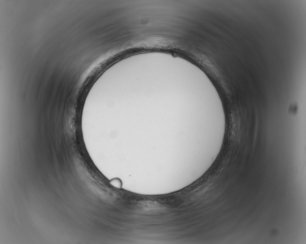 X0000116270392200912211802