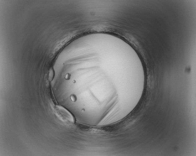 X0000116270393200912211802