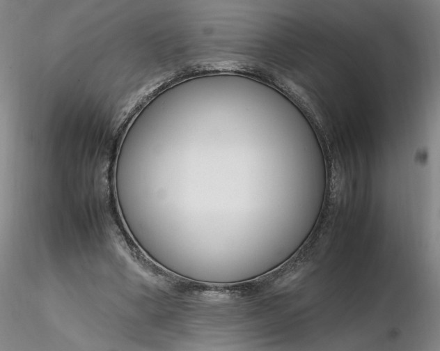 X0000116270394200912211802