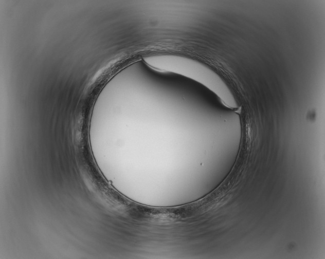 X0000116270396200912211802