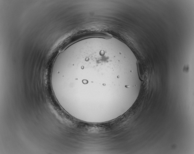X0000116270400200912211802