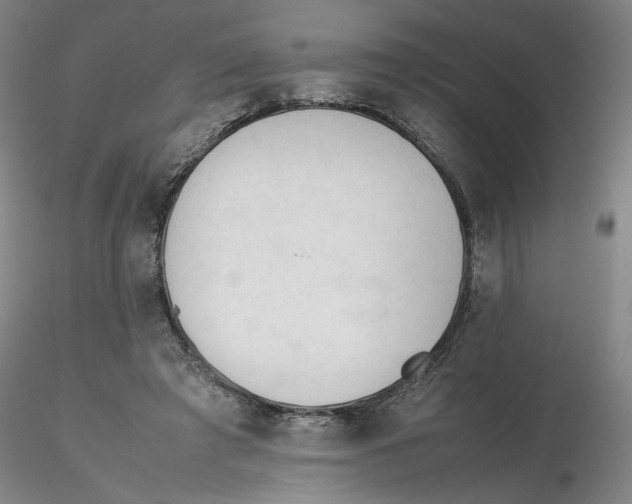 X0000116270401200912211802