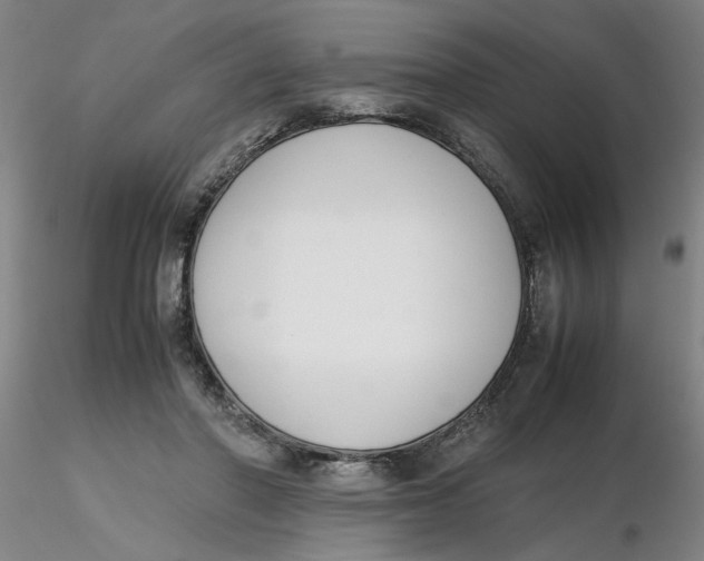 X0000116270406200912211802