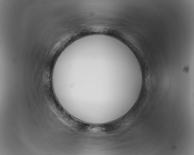 X0000116270407200912211802