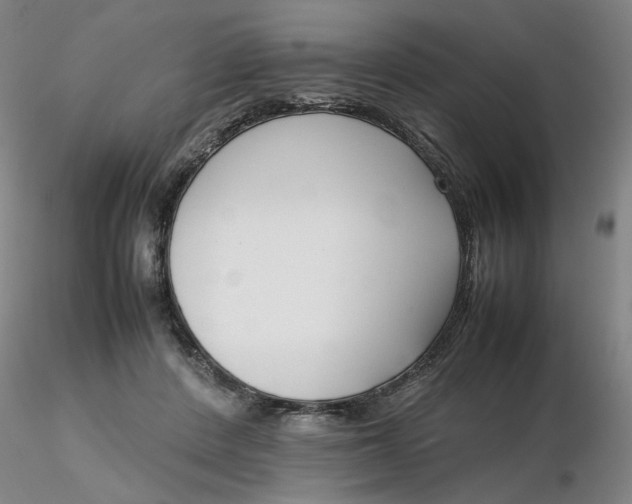 X0000116270408200912211802