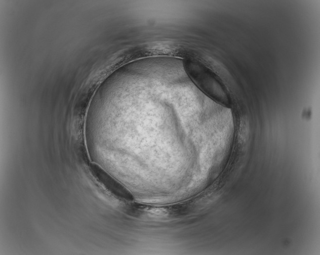 X0000116270409200912211802