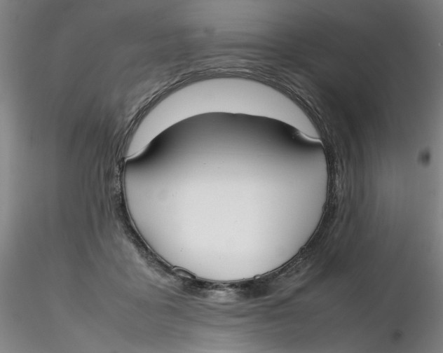 X0000116270411200912211802