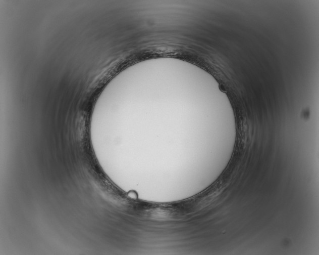 X0000116270412200912211802