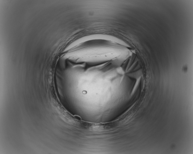 X0000116270413200912211802