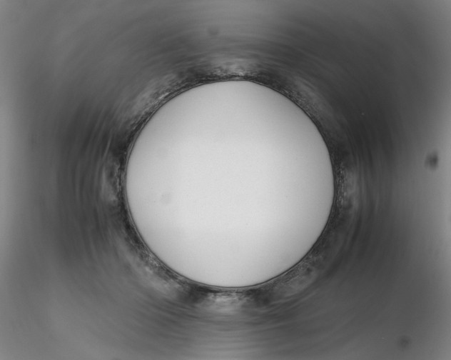 X0000116270414200912211802