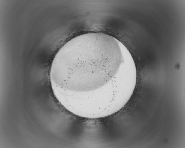 X0000116270415200912211802