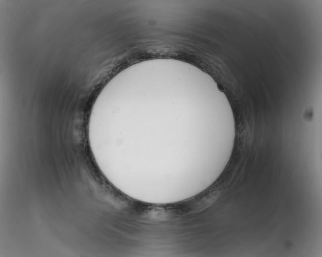 X0000116270416200912211802