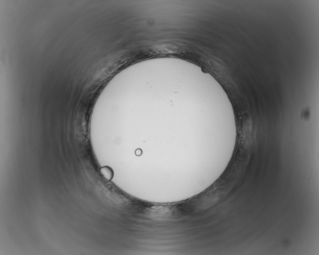 X0000116270418200912211802