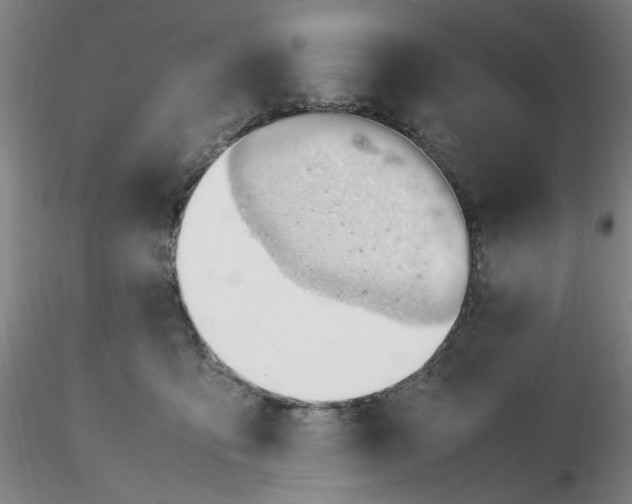 X0000116270419200912211802
