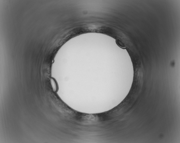 X0000116270421200912211802