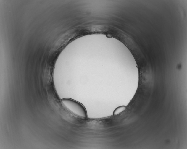 X0000116270422200912211802