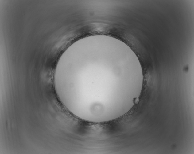 X0000116270423200912211802