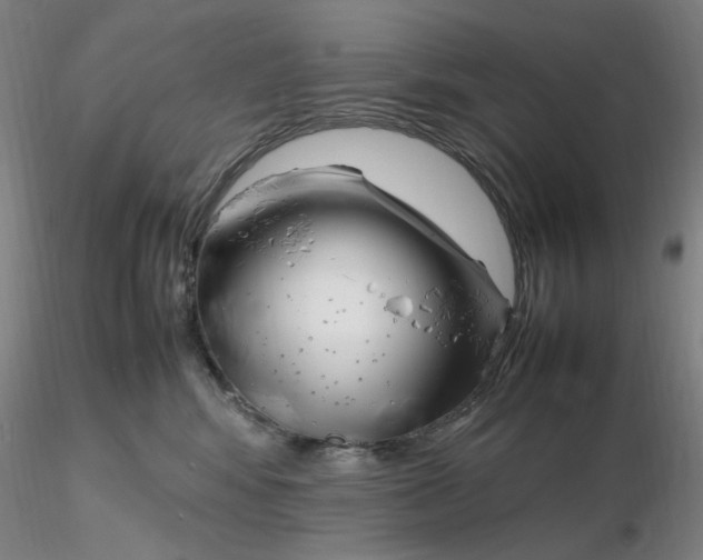X0000116270424200912211802