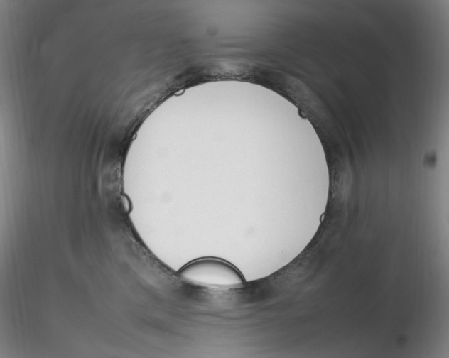 X0000116270425200912211802