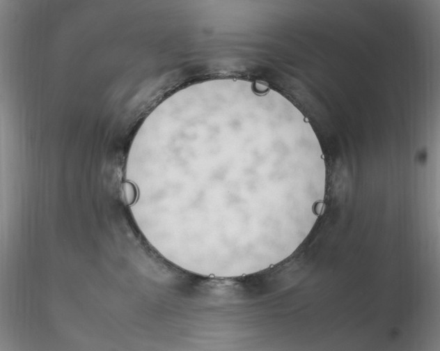 X0000116270427200912211802