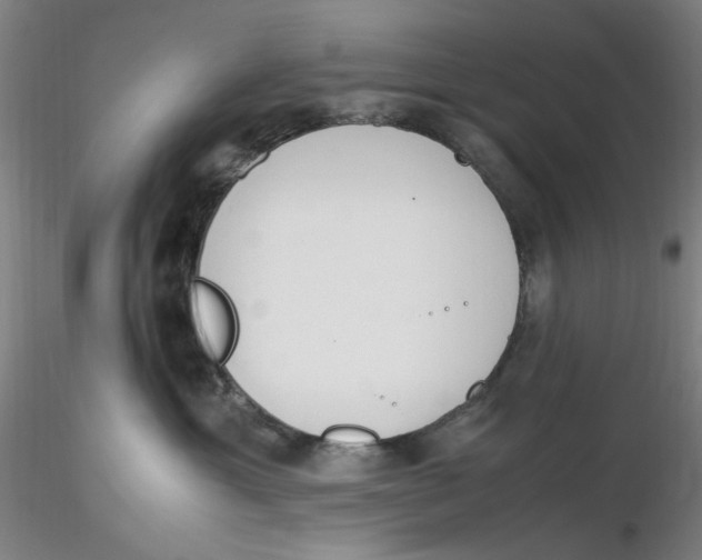X0000116270429200912211802