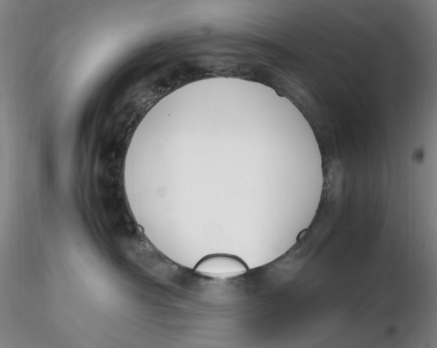 X0000116270430200912211802