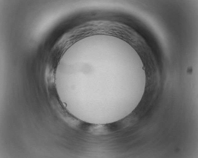 X0000116270431200912211802