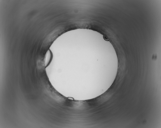 X0000116270432200912211802