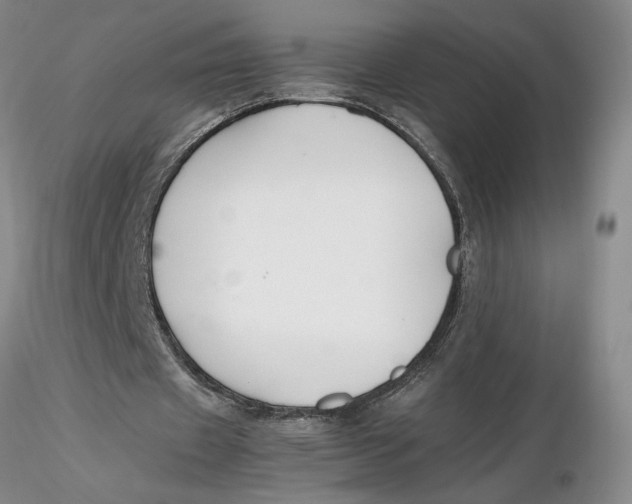 X0000116270433200912211801