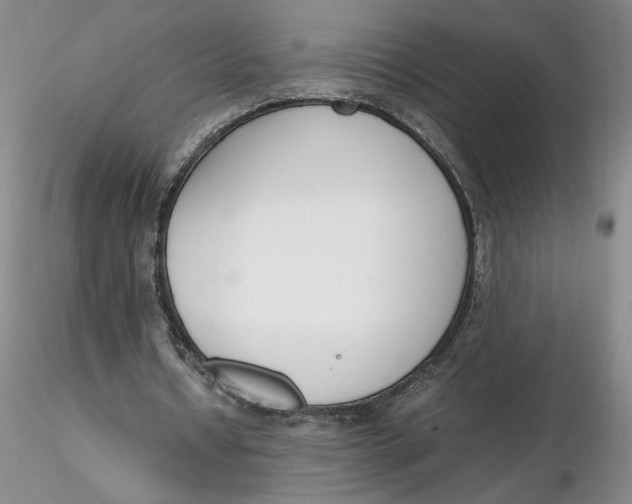 X0000116270434200912211801