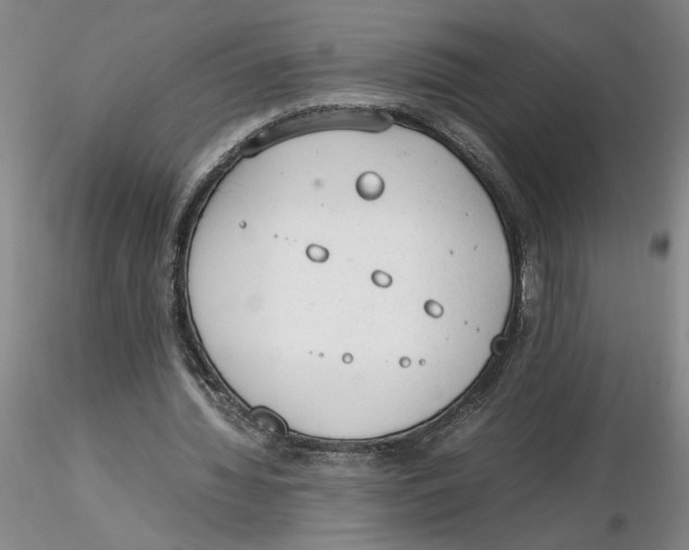 X0000116270436200912211801
