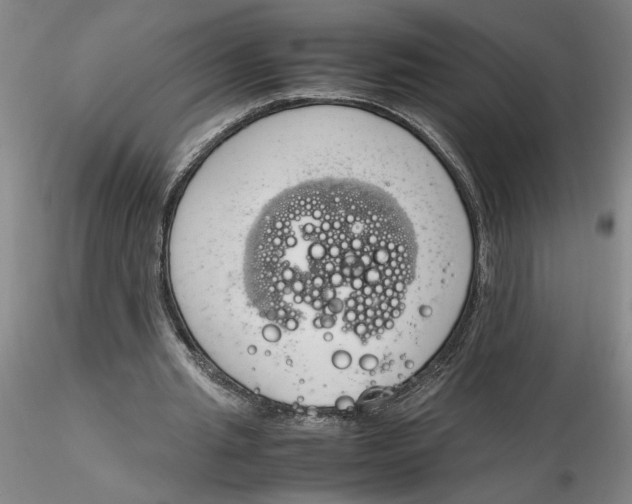 X0000116270437200912211801