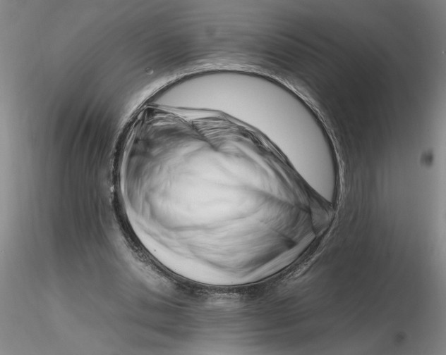 X0000116270438200912211801