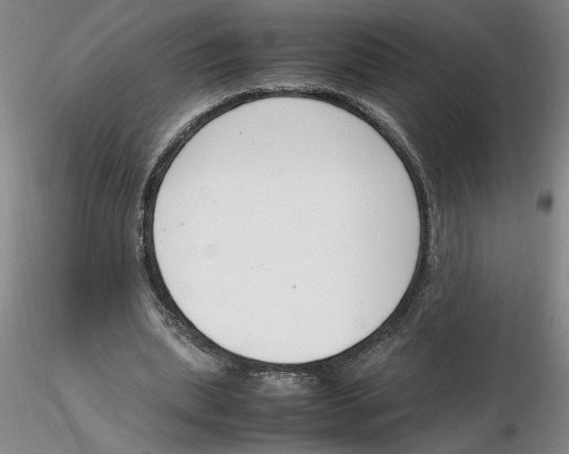 X0000116270439200912211801