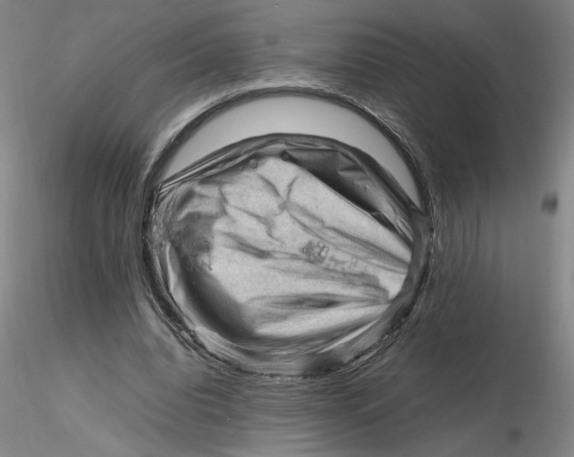 X0000116270440200912211801