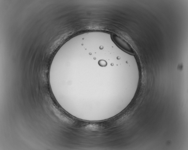 X0000116270441200912211801