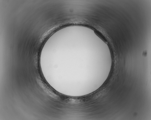 X0000116270442200912211801
