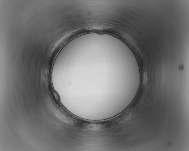 X0000116270444200912211801