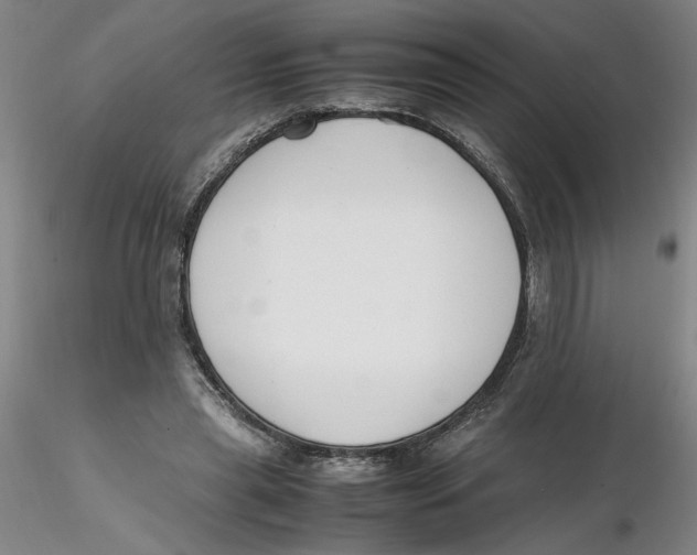 X0000116270445200912211801