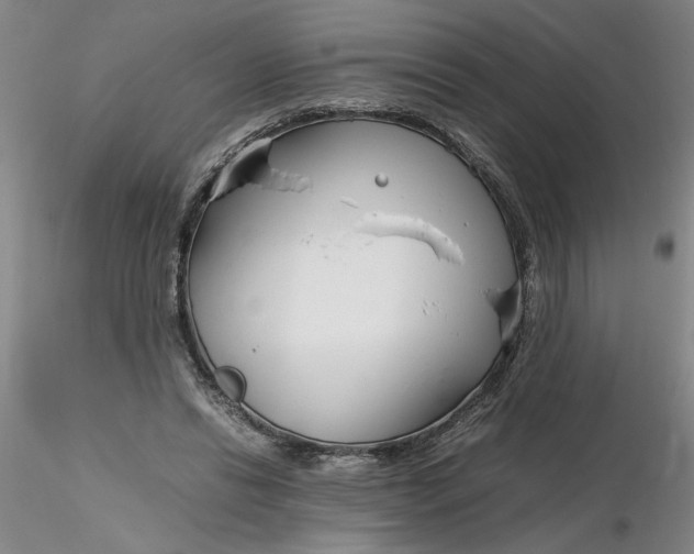 X0000116270446200912211801