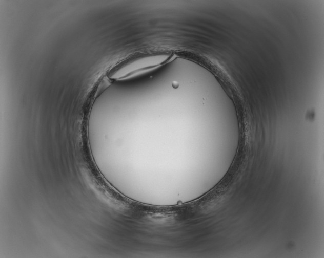 X0000116270447200912211801