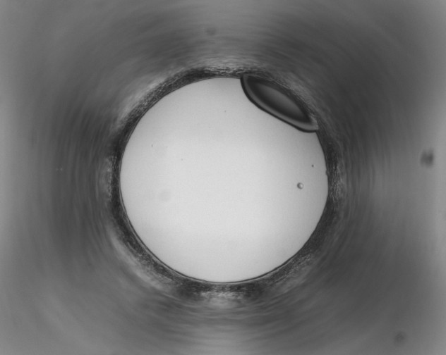 X0000116270448200912211801