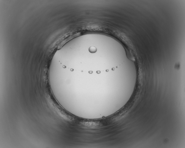 X0000116270449200912211801