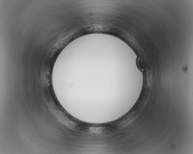 X0000116270450200912211801
