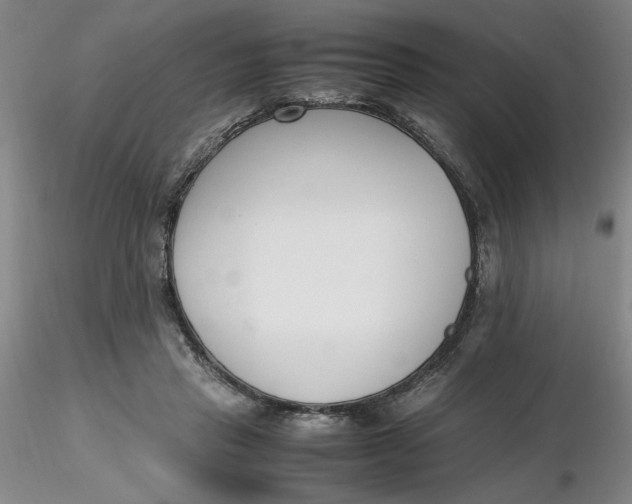 X0000116270453200912211801