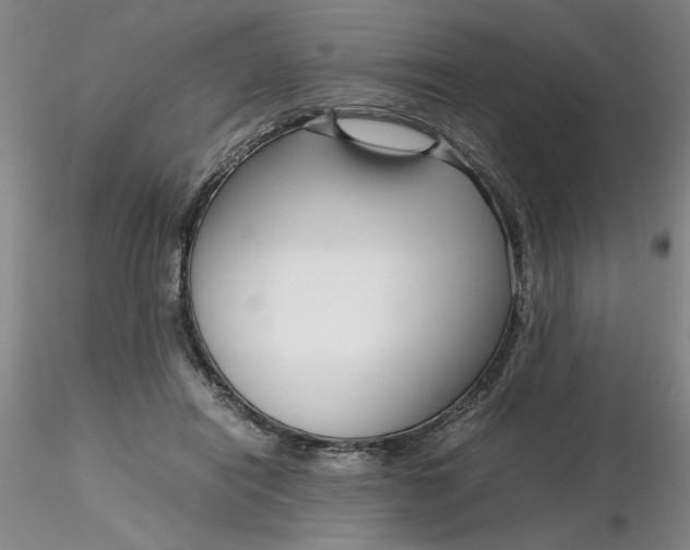 X0000116270454200912211801