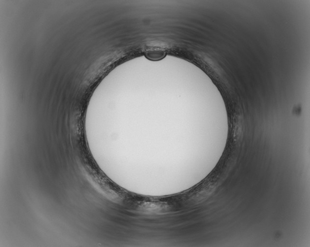 X0000116270455200912211801
