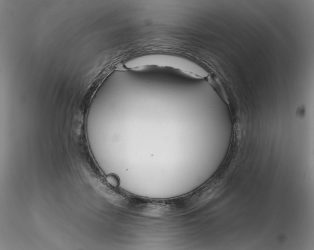 X0000116270458200912211802