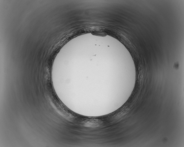 X0000116270459200912211802