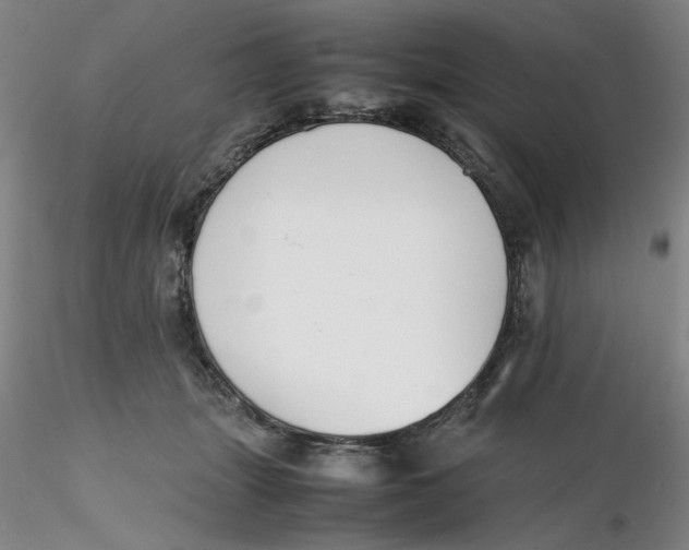X0000116270463200912211802